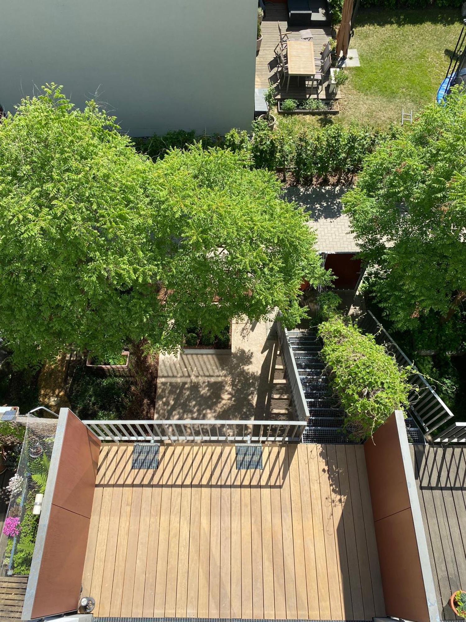 Townhouse Alaunpark Villa เดรสเดน ภายนอก รูปภาพ